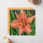 Orange Day Lily Greetings Card Notitiekaartje (Voorkant / Achterkant in situ)
