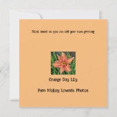 Orange Day Lily Greetings Card Notitiekaartje (Achterkant)