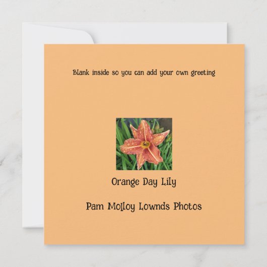 Orange Day Lily Greetings Card Notitiekaartje (Achterkant)