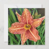 Orange Day Lily Greetings Card Notitiekaartje (Voorkant)
