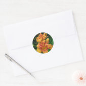 Orange Daylily Blooms Ronde Sticker (Envelop)