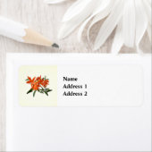 Orange Epidendrum Orchid Etiket (Insitu)