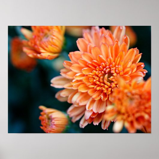 orange floral poster (Voorkant)