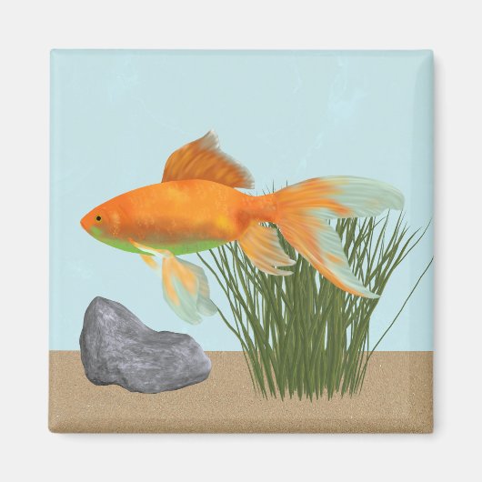 Orange Goldfish Nature Aquarium Magneet (Voorkant)