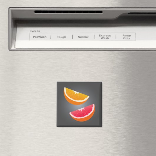 Orange & Grapefruit Slice Refrigerator Magnet (Insitu (Vaatwasser))