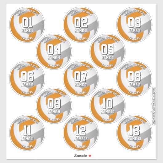 orange gray volleyball team stickers 13 athletes (Vel)