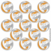 orange gray volleyball team stickers 13 athletes (Voorkant)