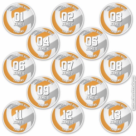 orange gray volleyball team stickers 13 athletes (Voorkant)