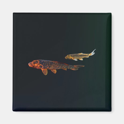Orange Koi and Gold Koi Magneet (Voorkant)
