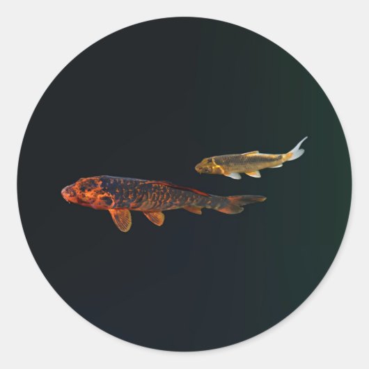 Orange Koi and Gold Koi Ronde Sticker (Voorkant)