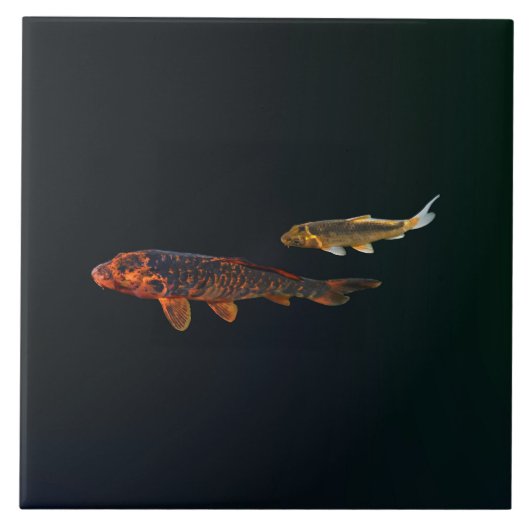Orange Koi and Gold Koi Tegeltje (Voorkant)