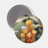 Orange Mushrooms Nature Personalized Magneet (Voorkant / Achterkant)