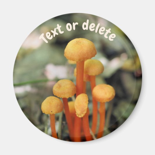 Orange Mushrooms Nature Personalized Magneet (Voorkant)