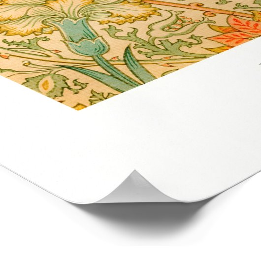 Orange Rose Poster (Hoek)