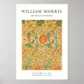 Orange Rose Poster (Voorkant)