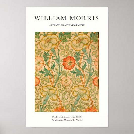 Orange Rose Poster (Voorkant)