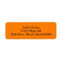 Orange Simple Plain Return Address Labels