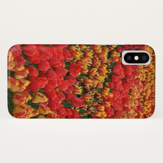 Orange spring tulips Case-Mate iPhone case (Achterkant (horizontaal))
