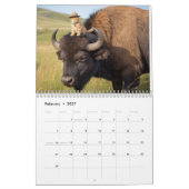 Orange Tabby Calendar Kalender (Feb 2027)