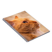 Orange Tabby Cat Notebook Curious Feline Notebook Notitieboek (Rechterzijde)