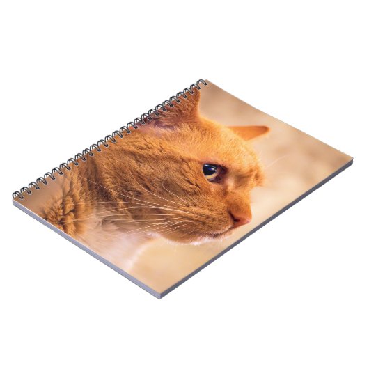 Orange Tabby Cat Notebook Curious Feline Notebook Notitieboek (Linkerzijde)