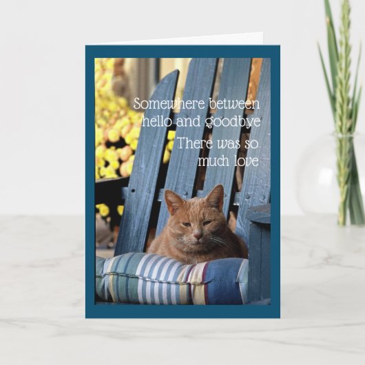 Orange Tabby Cat on Blue Chair  Card Kaart (Voorkant)