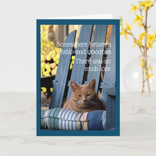 Orange Tabby Cat on Blue Chair  Card Kaart (Gele Bloem)