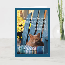 Orange Tabby Cat on Blue Chair  Card Kaart