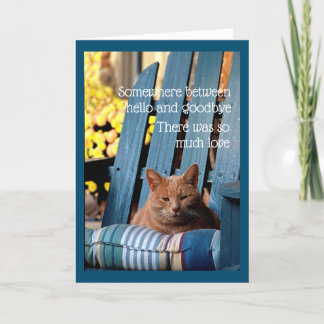 Orange Tabby Cat on Blue Chair  Card Kaart