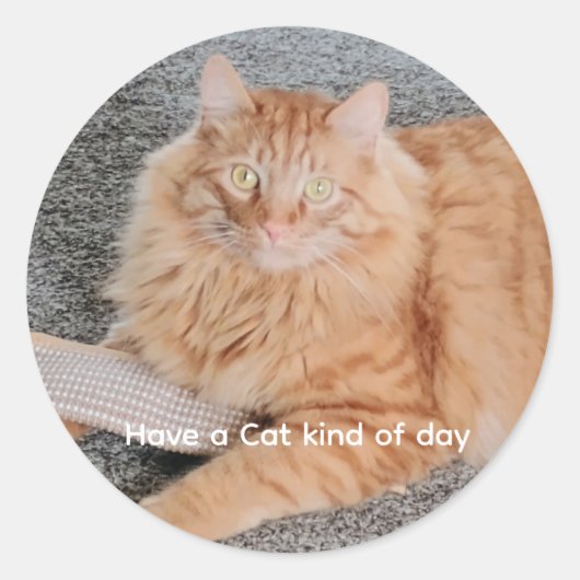 Orange Tabby cat  Ronde Sticker (Voorkant)