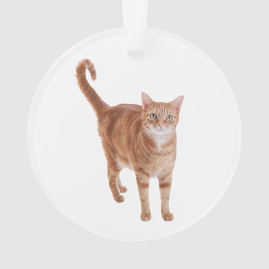 Orange Tabby Cat Standing Ornament (achterkant)