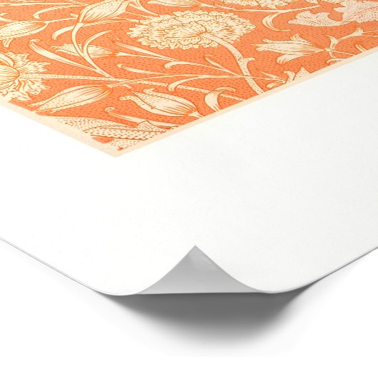 Orange Tulip Poster (Hoek)