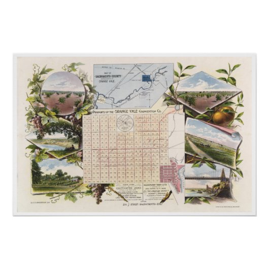 Orange Vale Colony 1895 Poster (Voorkant)
