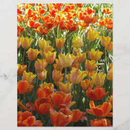 Orange-&-Yelow-Tulips.jpg