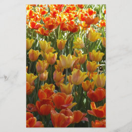 Orange-&-Yelow-Tulips.jpg Briefpapier