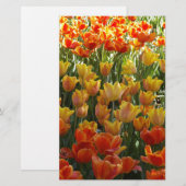 Orange-&-Yelow-Tulips.jpg Briefpapier (Voorkant / Achterkant)