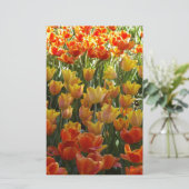 Orange-&-Yelow-Tulips.jpg Briefpapier (Staand voorkant)