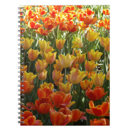 Orange-&-Yelow-Tulips.jpg Notitieboek