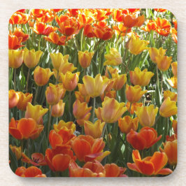 Orange-&-Yelow-Tulips.jpg Onderzetter