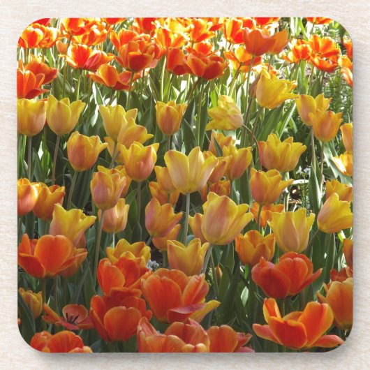 Orange-&-Yelow-Tulips.jpg Onderzetter (Voorkant)