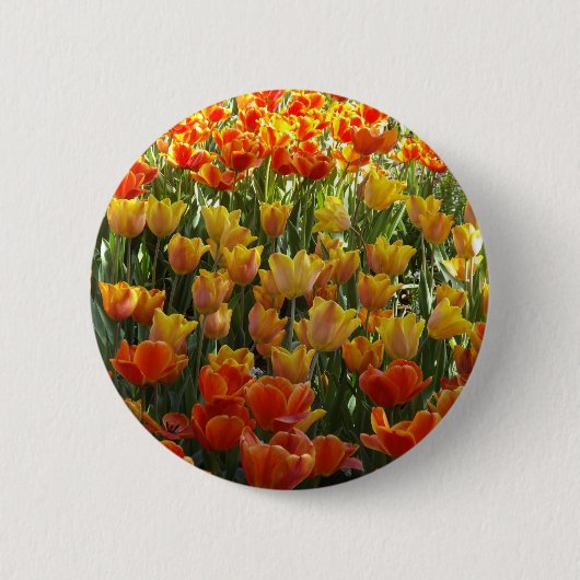 Orange-&-Yelow-Tulips.jpg Ronde Button 5,7 Cm (Voorkant)