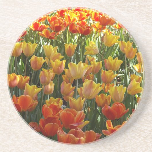 Orange-&-Yelow-Tulips.jpg Zandsteen Onderzetter (Voorkant)