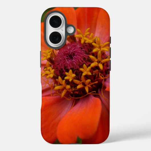 Orange Zinnia Wildflower Nature Floral Case-Mate iPhone Case (Achterkant)