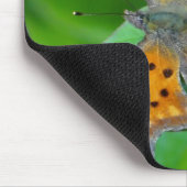 Oranger Schmetterling Muismat (Hoek)