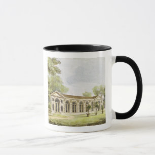 Orangery, Kew Gardens, bord 11 van 'Kew Gardens': Mok