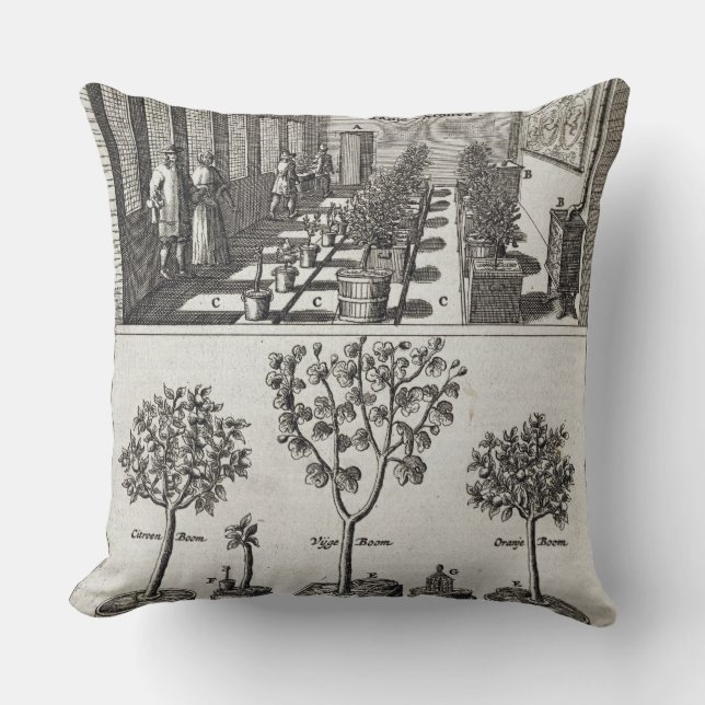 Orangery, van "De Nederlandze Hesperides" door Jan Kussen (Voorkant)