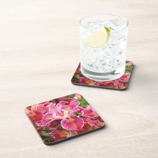 Orangish Pink Iris Bier Onderzetter (Rechterzijde)