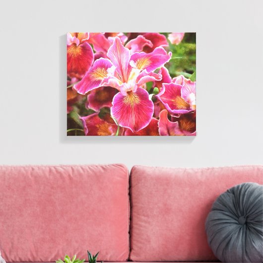 Orangish Pink Iris Canvas Afdruk (Insitu (Woonkamer))