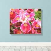 Orangish Pink Iris Canvas Afdruk (Insitu (Houten vloer))