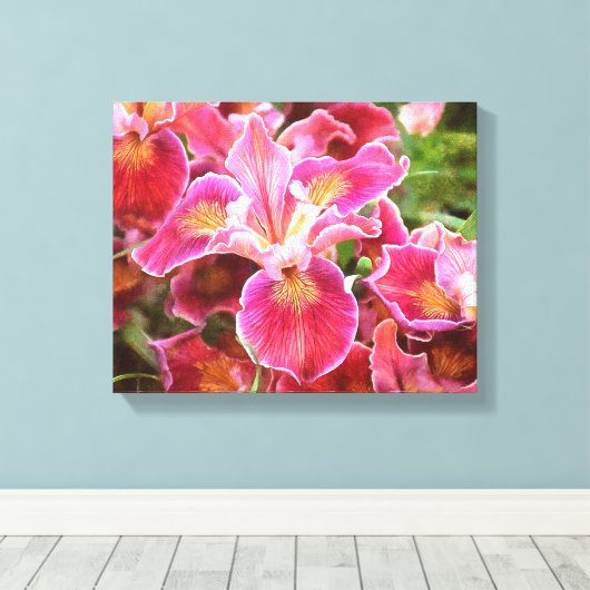 Orangish Pink Iris Canvas Afdruk (Insitu (Houten vloer))